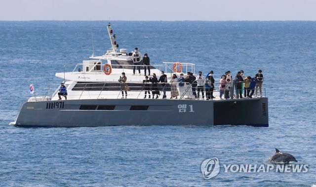 남방큰돌고래 관광