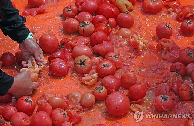 '반지야 어디있니'