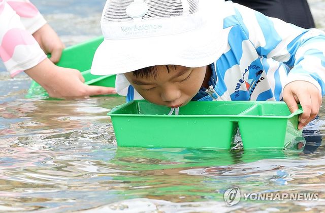 다슬기야 어디 있니