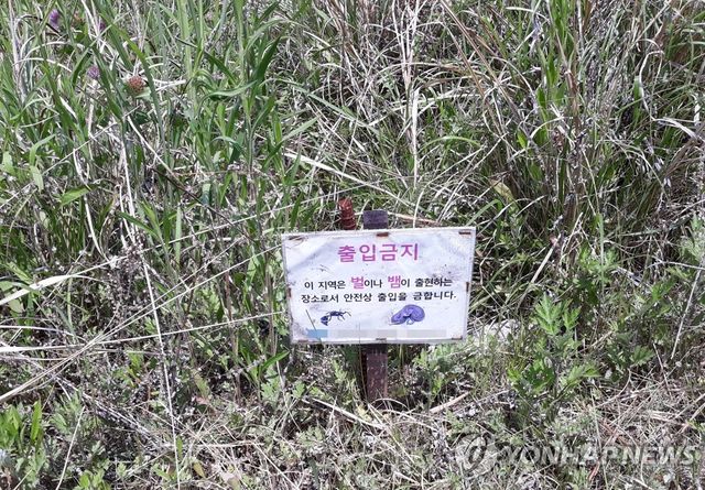 출입금지 안내(벌, 뱀 출현지역)