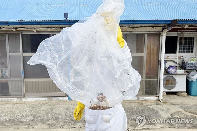 폭염 속 말벌집 제거 작업하는 전남광주통합특별시소방본부
