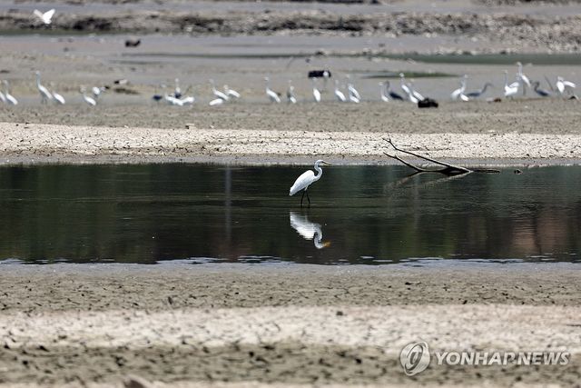 간신히 남은 물웅덩이