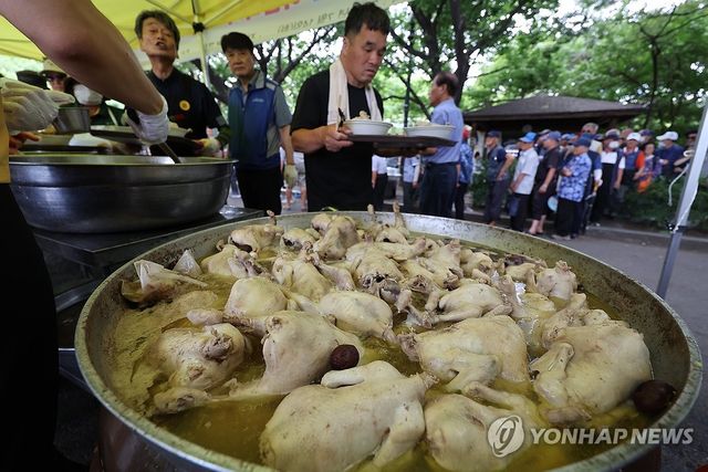 삼계탕으로 이겨내는 무더위