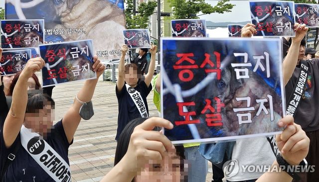 '보상 노린 개 증식 중단' 2024년 동물보호단체 시위 모습