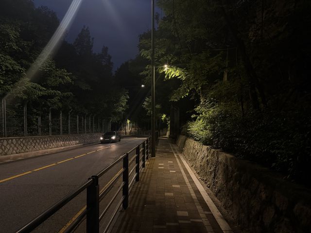 고려대 안암학사로 가는 길
