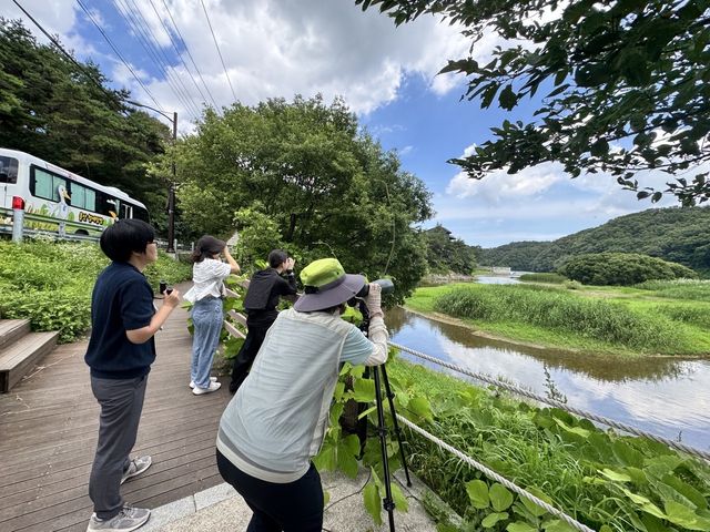울산철새여행버스 태화강 탐조 모습