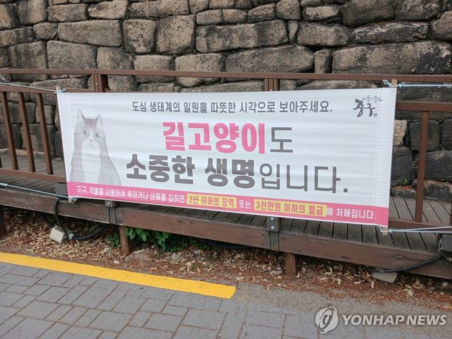 길고양이도 소중한 생명