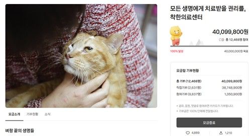 길고양이를 위한 '착한의료센터' 설립 관련 모금