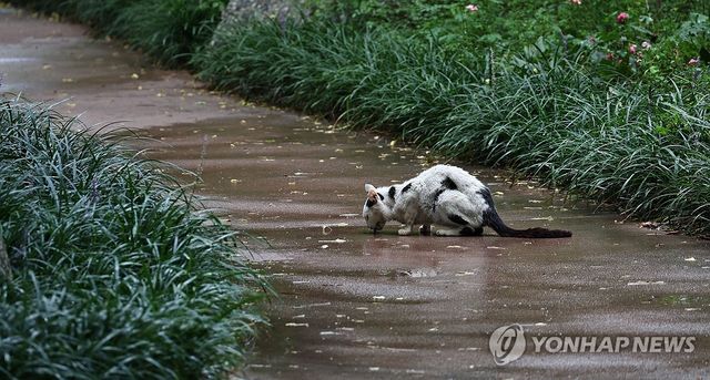 누군가에게는 단비