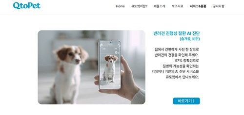 hy 반려동물 종합관리 플랫폼 '큐토펫'