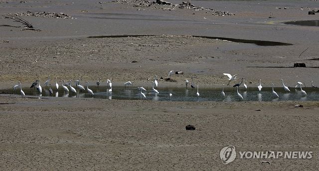 간신히 남은 물웅덩이