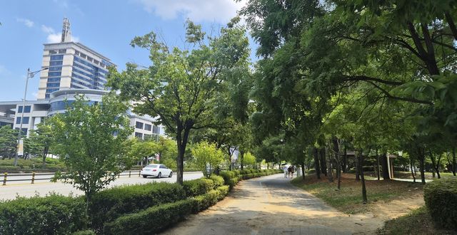 한산한 전북도청 인근 인도