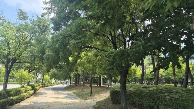 한산한 전주시 완산구 도심