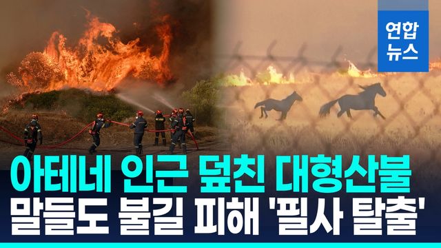 [영상] 그리스 산불 나흘째 계속…동물들도 불길 피해 필사 탈출 - 2