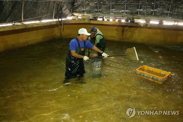 양식장 모습