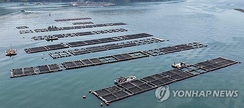 고수온 대비 '차광막 설치'