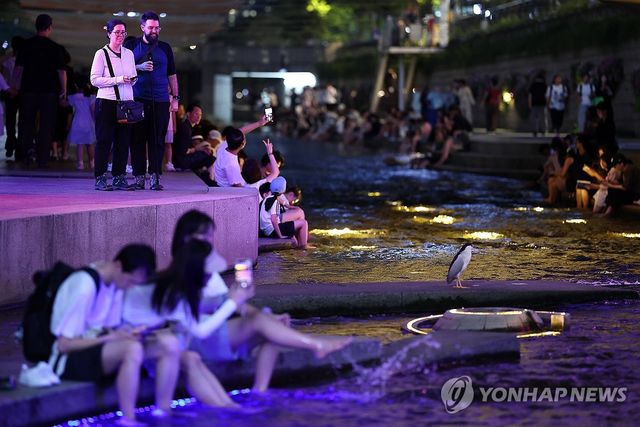 열대야에 청계천에서 더위 식히는 시민·관광객들