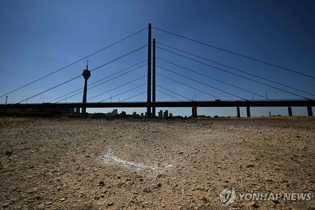 바닥을 드러낸 유럽의 젖줄 라인강