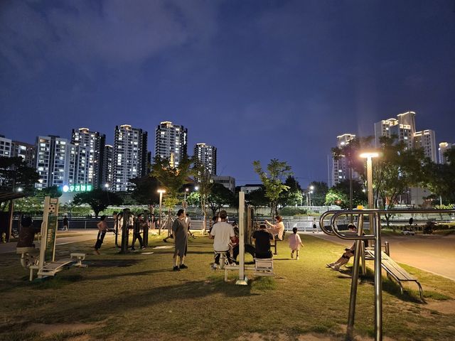 대구 신천 둔치에서 운동하는 시민들