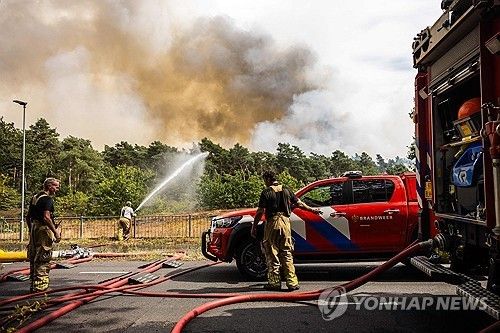 산불이 난 네덜란드 림뷔르흐 자연보호구역 [AFP=연합뉴스 재판매 및 DB 금지] 