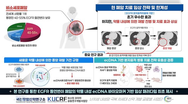 연구 결과 모식도