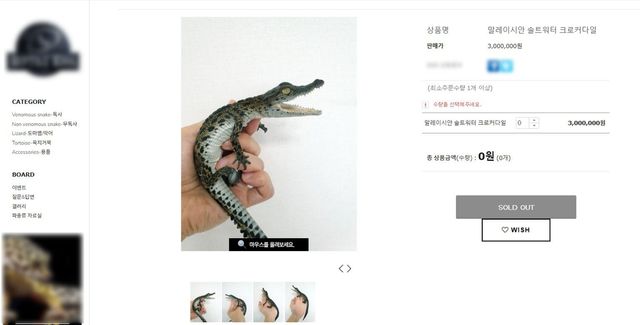 온라인 파충류 샵에서 거래되고 있는 국제멸종위기종 악어