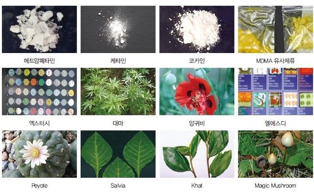 대표적인 마약류