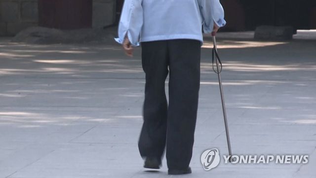 [연합뉴스TV 제공]