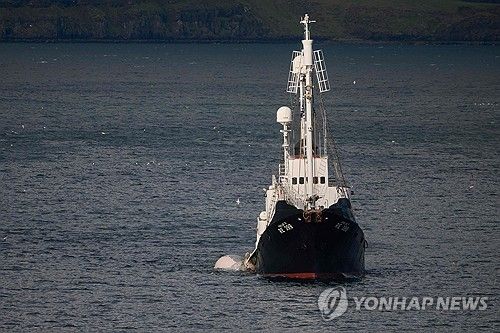 아이슬란드 포경선이 고래를 잡아 항구로 돌아오는 모습