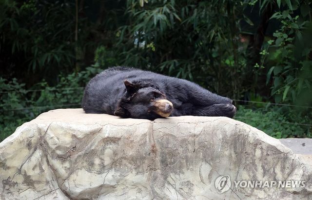 '날도 더운데 뭐더러 왔슈'