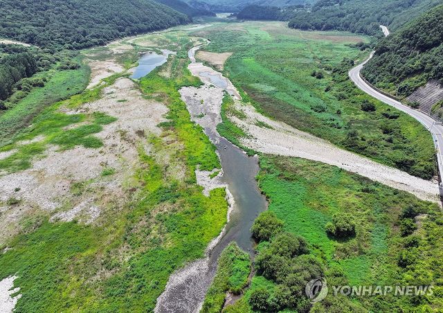 메마른 청도…잡초 뒤덮인 운문댐 상류