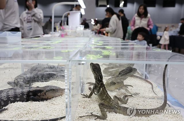 공룡·파충류 박람회