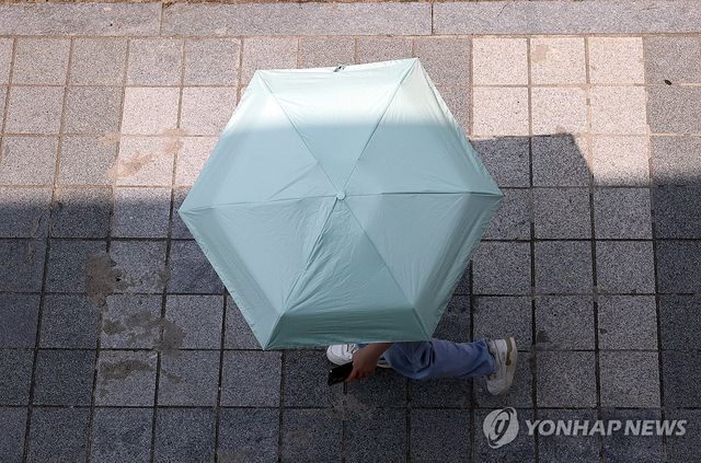 폭염엔 그늘이 좋아요
