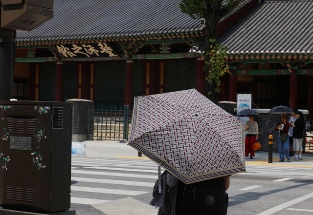 '없어요' 그늘막