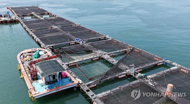 '고수온 대비' 차광막 설치…통영 중화항