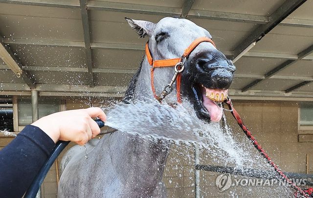 시원하다