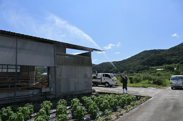 폭염 대응 긴급 살수 지원
