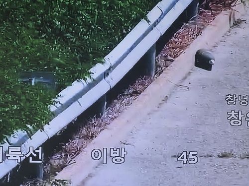창녕 중부내륙고속도로서 발견된 포탄 모습