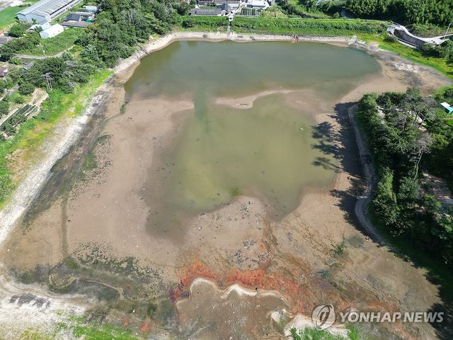 말라가는 울산 오룡저수지