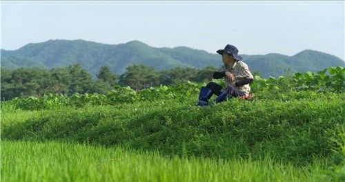영화 '지난 여름' 속 장면