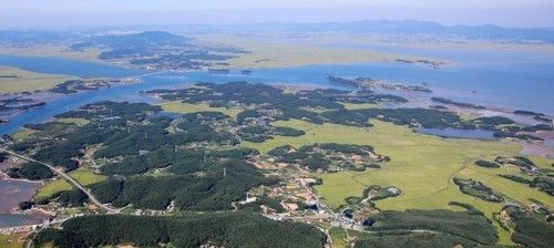 천수만