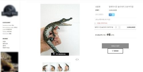 온라인 파충류 샵에서 거래되고 있는 국제멸종위기종 악어