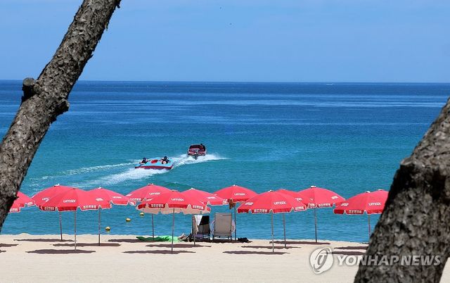 뙤약볕에 텅 빈 백사장 파라솔