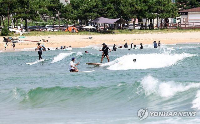 여름 즐기는 서퍼들