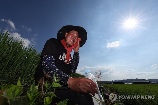 '가을걷이를 위해'…폭염 속 휴식