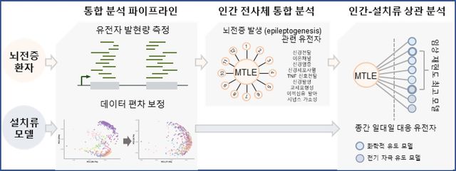 [세브란스병원 제공. 재판매 및 DB 금지]