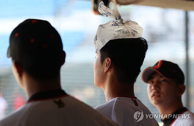'얼음주머니 필수'