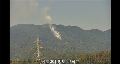 [산림청 제공. 재판매 및 DB 금지]