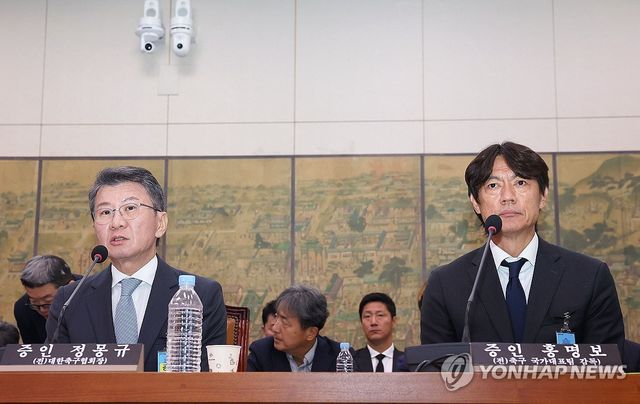 질의 답하는 정몽규 전 대한축구협회장