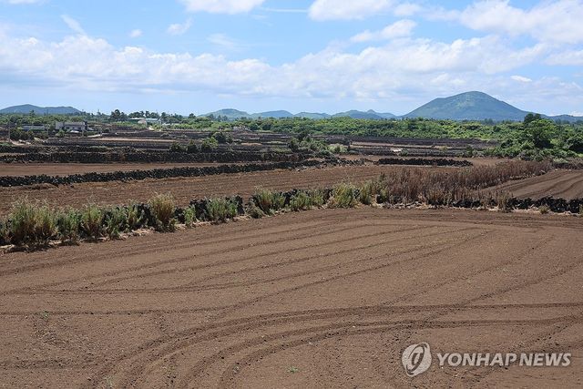 파종기에 메마른 당근밭